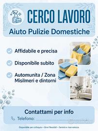 Lavori domestici, pulizie