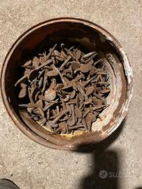 Chiodi antichi per cavalli