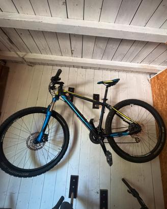 Mtb Ktm Chicago