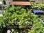 Immagine 25
