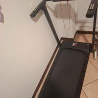 tapirulan elettronico 