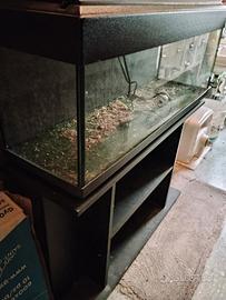 Acquario con mobile.