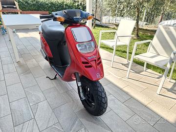 Gilera Piaggio Typhoon 50 DA VETRINA