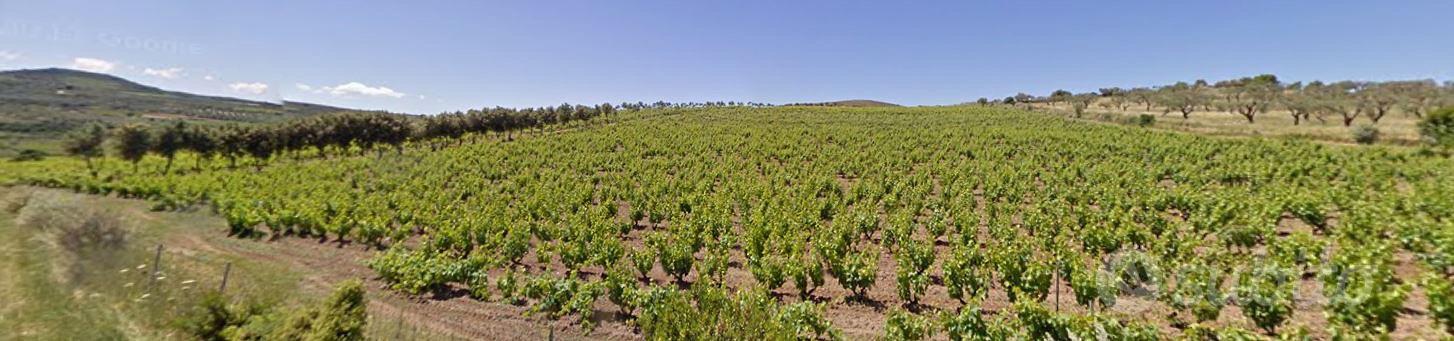 Terreno Agricolo (edificabile) - Vista 3