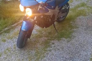 Triumph Speed fuor