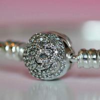 Pandora Bella & La Bestia Bracciale 590748CZ (17)