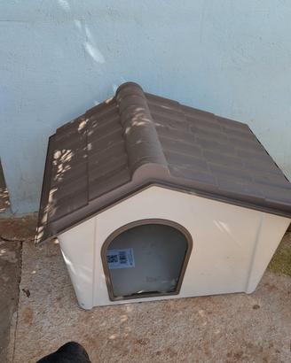 Cuccia per cane 