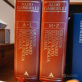 Grande dizionario della lingua italiana 