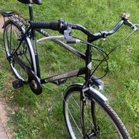 Bici uomo city bike
