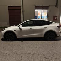 TESLA MODEL Y PERFORMANCE 2023