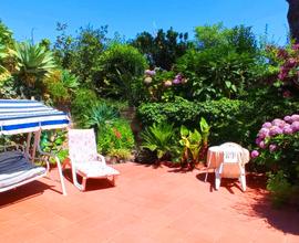 Ischia Appartamento vacanze last minute