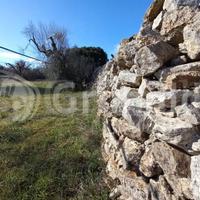 Terreno Agricolo Ugento [7masseriagrandeVCG] (Torr