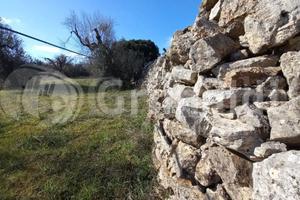 Terreno Agricolo Ugento [7masseriagrandeVCG] (Torr