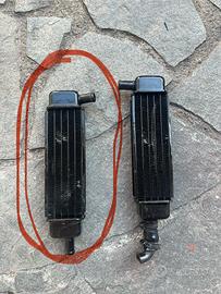 radiatore phantom f12