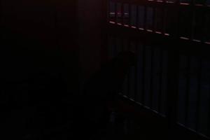 Casa con giardino a mare