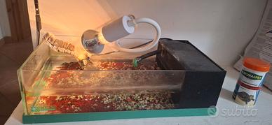 acquario per tartarughe 