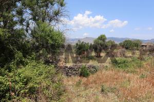 Terreno - Castiglione di Sicilia