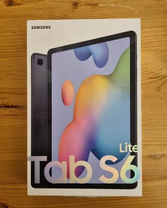 Samsung Tab S6 Lite con PENNA