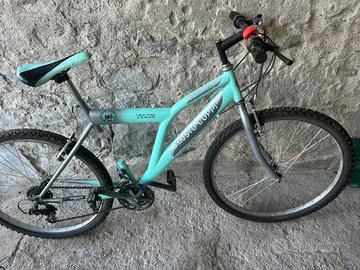 Mountain bike