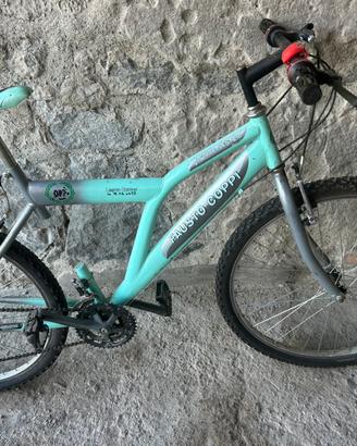 Mountain bike