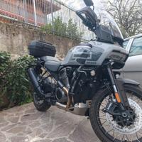 Harley Davidson Pan America Special 1250 2025