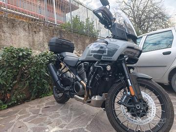 Harley Davidson Pan America Special 1250 2025