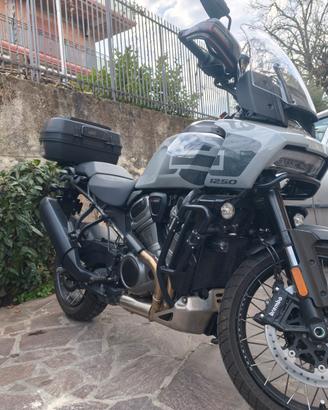 Harley Davidson Pan America Special 1250 2025