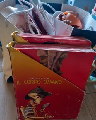 Modellino Corpo Umano