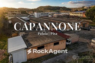 Immobile di 2545 m² a Palaia