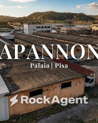 Immobile di 2545 m² a Palaia