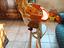 Immagine 1