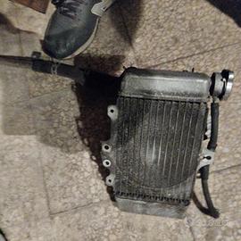 radiatore completo Honda sh PS Dylan @