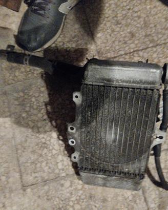 radiatore completo Honda sh PS Dylan @