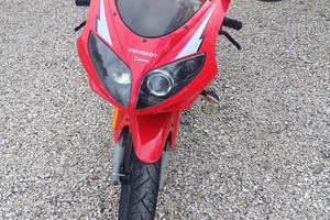 moto 50 xr6 peugeot