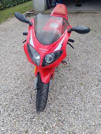 moto 50 xr6 peugeot