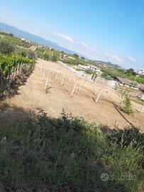 Terreno agricolo Vicolo dei Trugli Roma