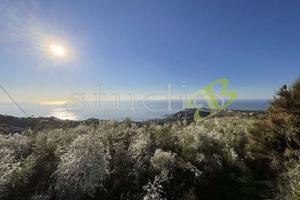 Rustico-Casale a Bordighera