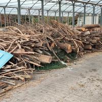 legna da ardere,prezzo per tutta la catasta