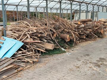 legna da ardere,prezzo per tutta la catasta