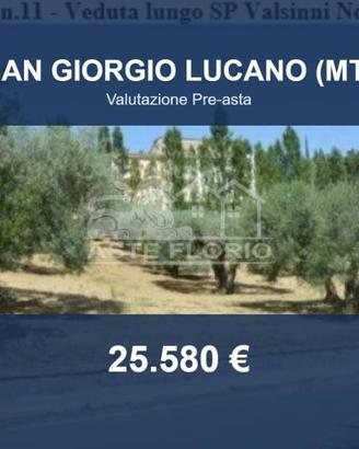 Immobile in asta di 2310 m² a San Giorgio Lucano