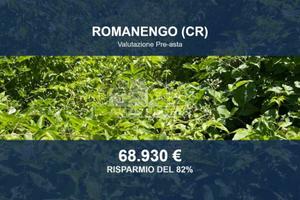 Immobile in asta di 7387 m² a Romanengo