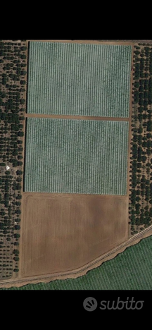 Terreno agricolo di 3 ettari