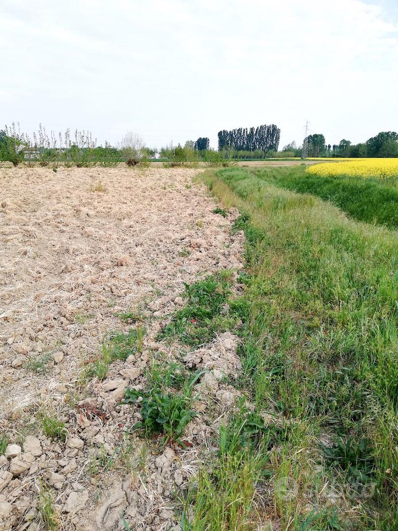 Terreno agricolo - Altro