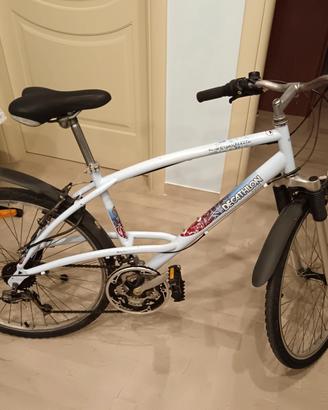  Bici accessoriata come da foto