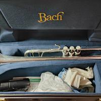 Tromba Bach 180 ML