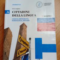 "cittadini della lingua" libro di grammatica 