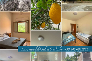 La casa del cedro