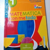 Matematica con metodo 1 - La geometria