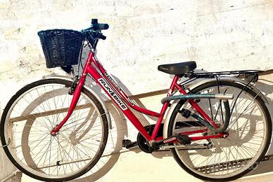 Bicicletta citybike nuova