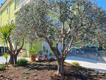 Appartamento con giardino